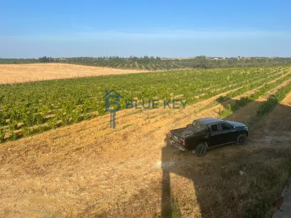 Terrain agricole a vendre située a Bou Arguoub