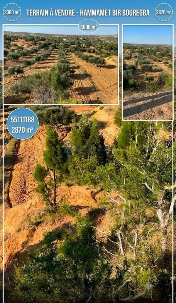À Vendre : 3 Magnifiques Terrains à Bir Bouregba – Hammamet