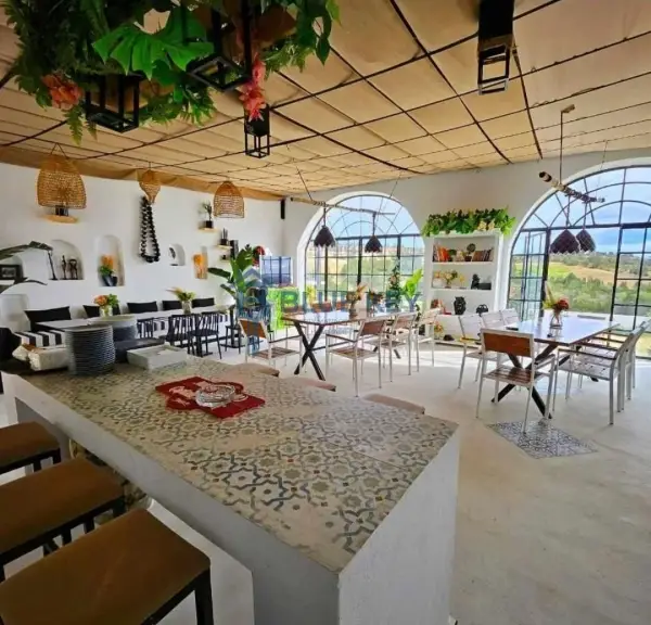 À Vendre – Magnifique Villa avec Piscine à Hammamet Bir Bouregba – Oued Lasswed
