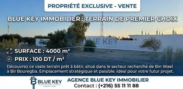 À vendre, un magnifique terrain de 4000 m² situé dans le secteur calme de Bin Wayel, Birbouregba